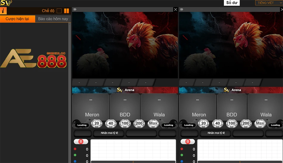 trải nghiệm đá gà KUBET - Những điều cần lưu ý