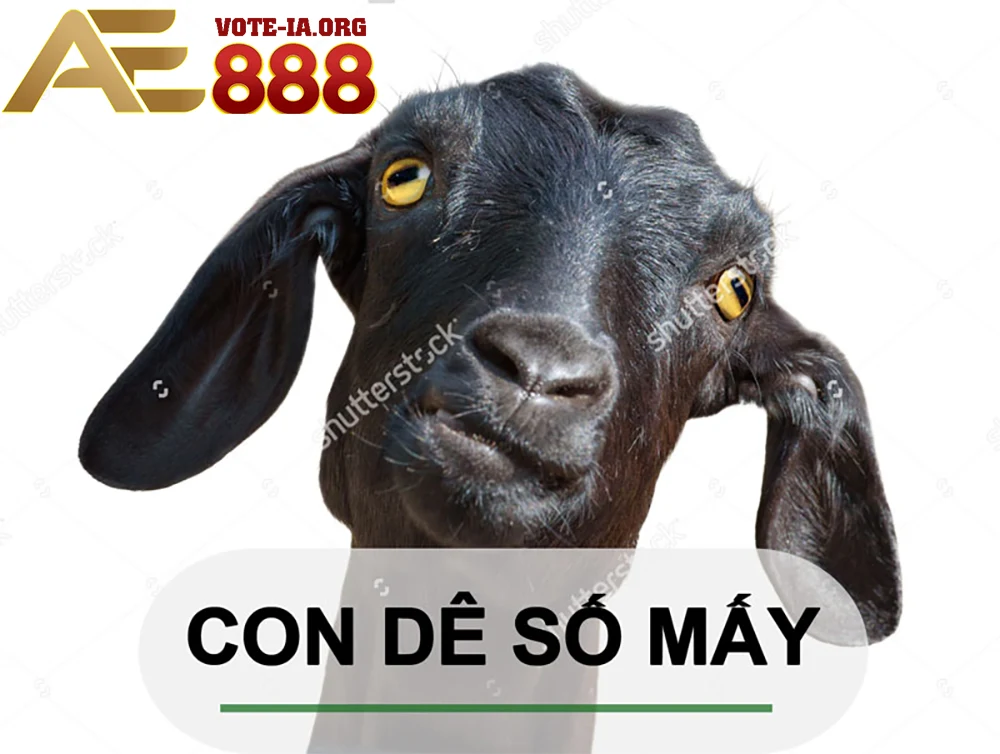 Chọn ra các con số tương ứng để đặt cược.