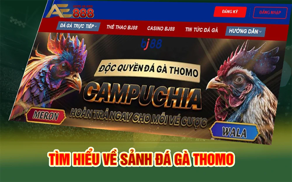 Người chơi phải đủ 18 tuổi trở lên.