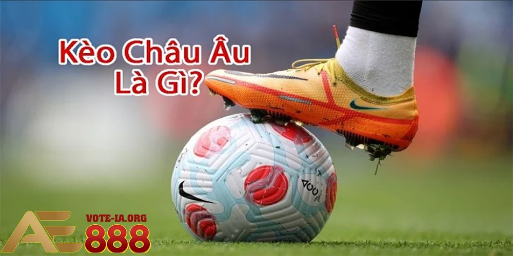 Loại kèo này phù hợp cho người mới bắt đầu.