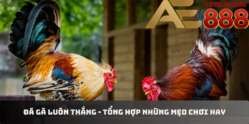 Tìm hiểu về các loại tỷ lệ kèo trước mỗi trận đấu.