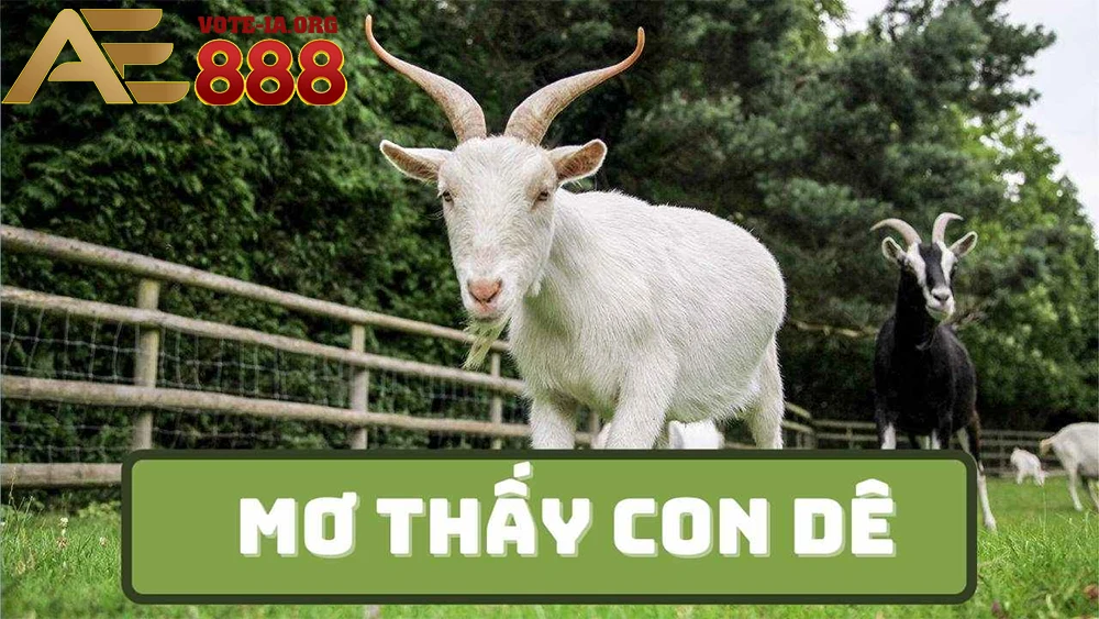 Là dấu hiệu tốt, báo hiệu những điều may mắn sẽ đến.