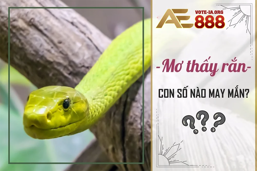 Chọn số dựa trên màu sắc và loài rắn. 