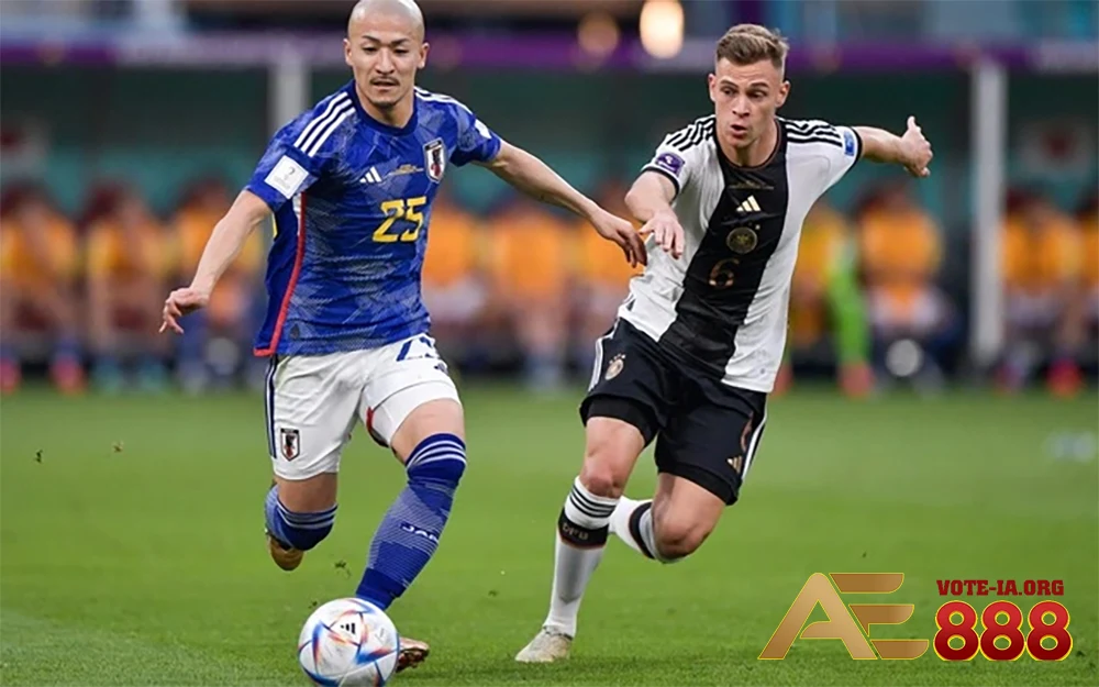 Bóng đá có lượng người hâm mộ đông đảo nhất toàn cầu.