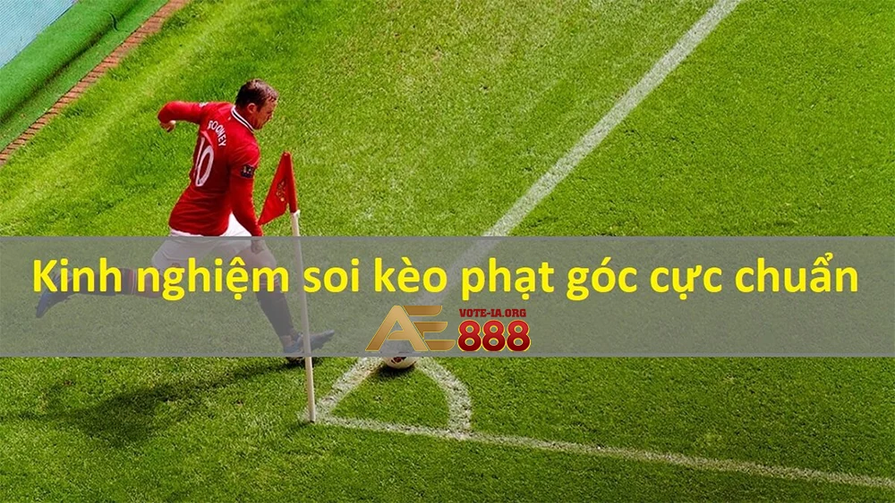 Nghiên cứu lối chơi của đội.