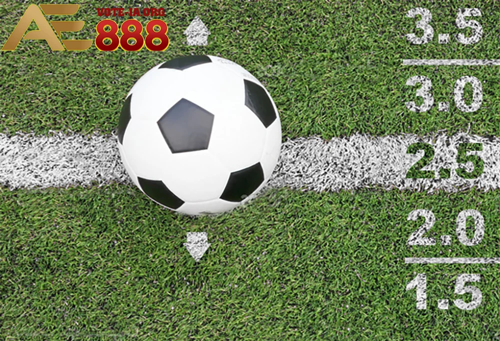 Nghiên cứu kỹ lưỡng trước khi đặt cược.