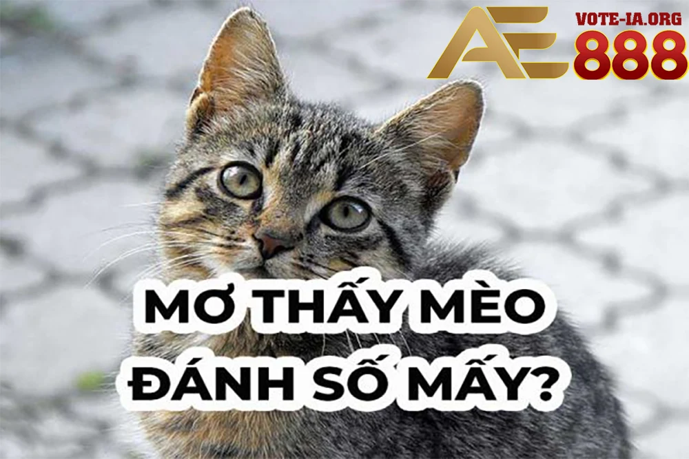 Các số 14, 41, 18, 58, 89 thường được lựa chọn.