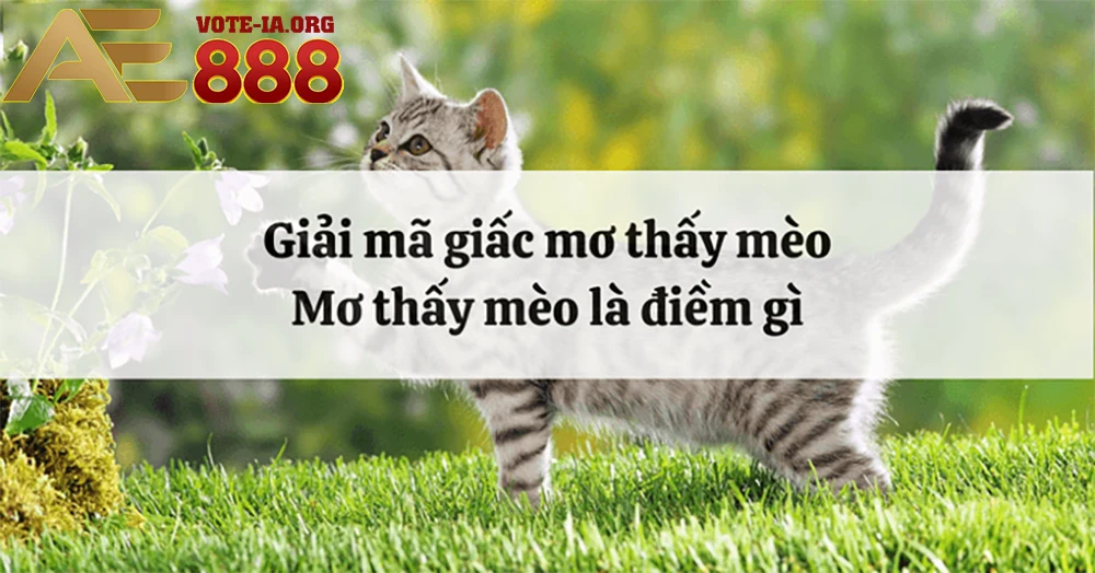Mang ý nghĩa khác nhau tùy trường hợp.