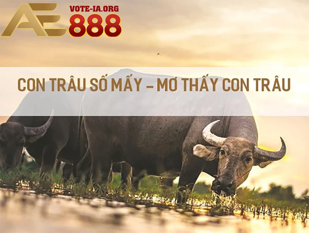 Biểu trưng cho may mắn và tài lộc.